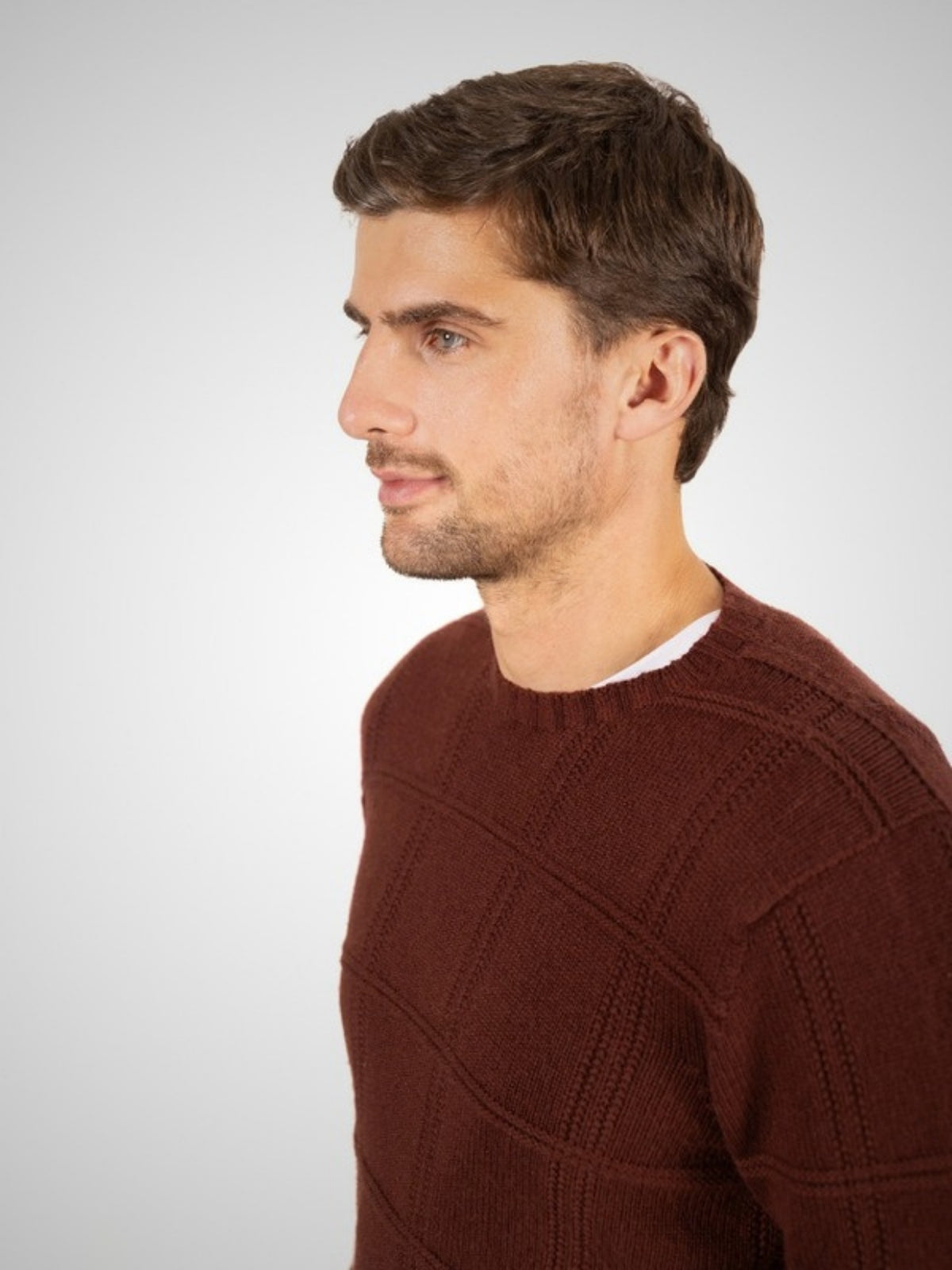 Vero Men's 3 Ply Cashmere Jumper (in Warm) – Hawico Scotland